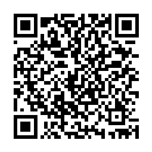 那些魔将和魔兵无论在上一次龙宫开启后的大战中损失多少二维码生成