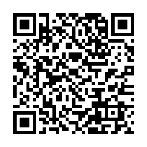 那些鲜血就如同有生命一般的在她裸露的肌肉里游走二维码生成