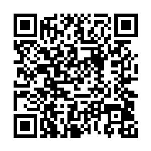 那些黑色的雾气是鬼面蛇的躯体破碎以后产生的二维码生成