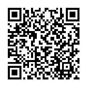 那些黑衣人显然是没有想到这里还藏着一个万俟飞二维码生成