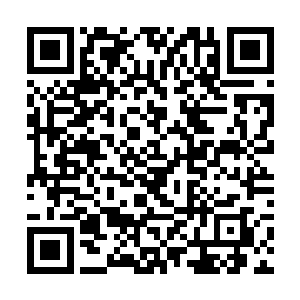 那些黑鹰教弟子手臂上的黑鹰也开始跟着亮起了光芒二维码生成