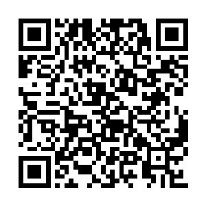 那交织于骸骨内的生死之意和模糊道纹亦在消解二维码生成