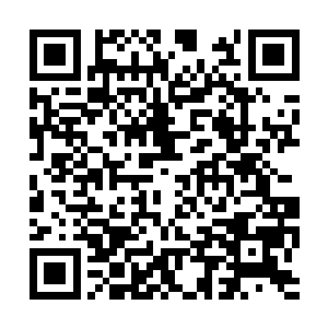 那人不是杜家拍卖行临江都分行的总负责人杜武吗二维码生成