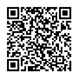 那人手中的柳叶长剑直接朝着开口说话的人挥了过来二维码生成