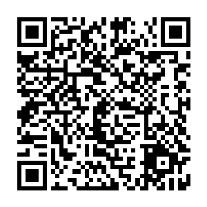 那什么叫坑人啊林烽那奇葩的四舍五入将四百亿入成五百亿的算法就先不说了二维码生成