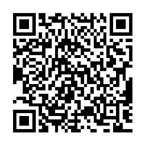 那从天而降的两个五色大手竟然直接被那两道青色玄光所挡住二维码生成