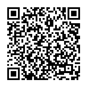 那从楚旬身上激荡出的万丈金光和他手中激荡出的炽烈血焰也是融为了一体二维码生成