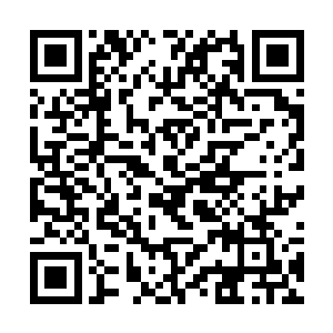 那他不死也肯定要脱层皮了……而烈焰魔虎这一次发二维码生成