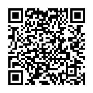 那他们一定掌握向人类下达指令并接收反馈的能力二维码生成