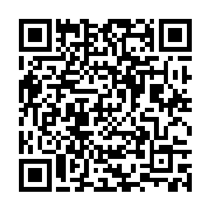 那他们下一步就是直接叫联合国对洪大力进行审判二维码生成