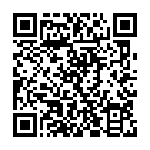 那他们也不会在斩杀地翼王这件事情上犹犹豫豫二维码生成