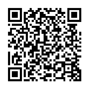 那他们如果知道原仙者的天选者最终都会为了觉醒先天九子二维码生成