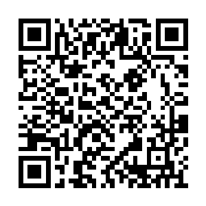 那他们就只有用巫族的人的鲜血来唤醒守护神了二维码生成