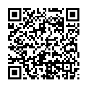 那他们的大祭司流焰的神血能力是不是您帮他恢复的二维码生成