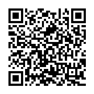 那他们自然可以将自身所积累的信仰之力全部转移到你们的身上二维码生成