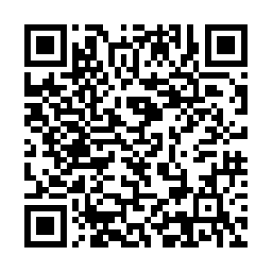 那他便有机会在那最终浩劫到来之前凝聚出五行法相二维码生成