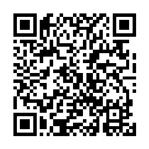 那他就会慢慢的让小十一给胖尊者培养那种留在这里的心二维码生成