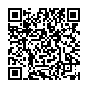 那他想要靠后两张牌得到同花顺的几率也是非常小的二维码生成