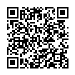 那他或许还能凭借这四海海眼的传送能力向四海龙宫求助二维码生成