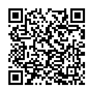 那他欺负尊者以下的事情已经是非常正常的事情了二维码生成