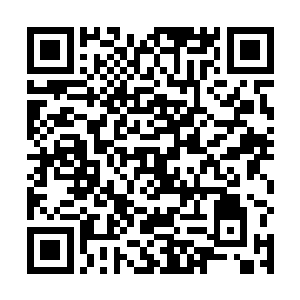 那他的八匹龙马在没有了龙威的威慑下也能够恢复战力二维码生成