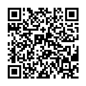 那他要面对的将是这荒草野地上成千上万的虫魔大军二维码生成