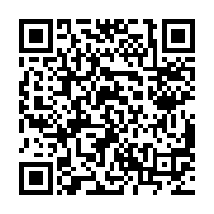 那仙主和魔主的两个神识光点已经冲进了琅琊的神识之中二维码生成