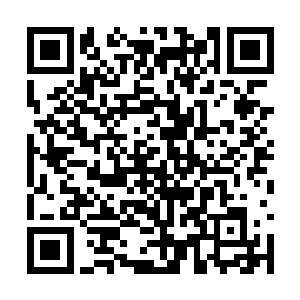 那以后在云顶仙宫这里就会有一份属于他们的份额二维码生成