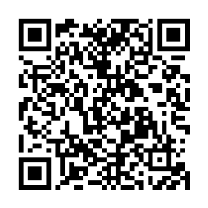 那以后森罗万象就将是那些百星尊者梦寐以求的修炼之地了二维码生成