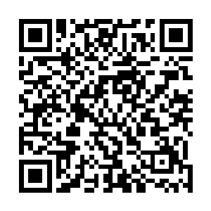 那会不会这次金城的地葬之棺就是王乾布出来的一个大坑二维码生成