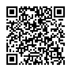 那伤口处也是以肉眼可见的速度快速的修复之中二维码生成