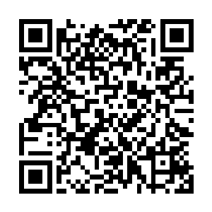 那伤痕累累的机械巨兽体内也忽然响起了一阵阵电子合成音二维码生成