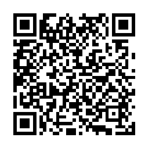 那似乎没有牙巴的嘴巴边缘伸出了两颗长长的獠牙二维码生成