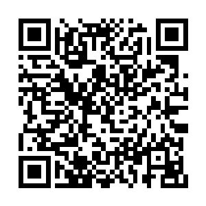 那位丁医生在庄园里面并没有跟太多的人接触过二维码生成