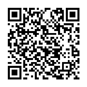 那位亚兰大巫也就这么看着苏门继续与头盖骨接触二维码生成