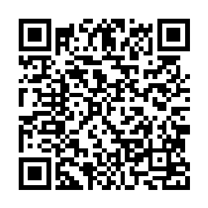 那位十五六岁的少女双手捧着朱平安留下的墨宝二维码生成