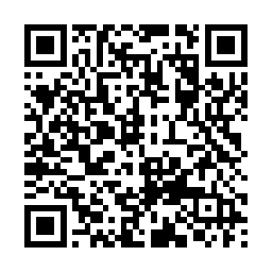 那位半步大罗金仙的做法就愈发让人无法理解了~二维码生成