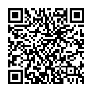 那位向来无比狂妄自大的祁魇掌教声音有些颤抖地问下面的人二维码生成