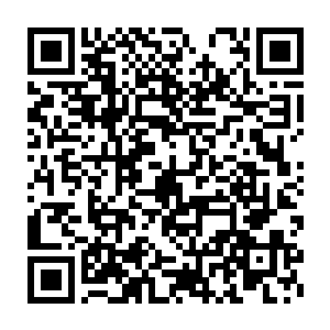 那位域主如果我猜的没错的话应该和我一样都是那位大人物的棋子二维码生成