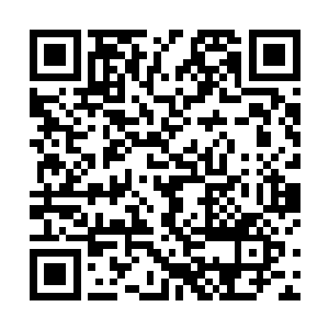 那位域主当初在和你一战的时候曾经施展过第三只竖眼二维码生成