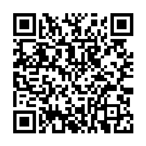 那位大人应该就是血脉王座的嫡子――西瑞大人二维码生成