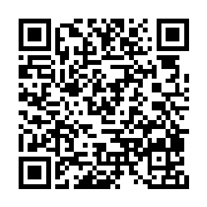 那位小偷动作缓慢地将镊子伸进漂亮女孩的背包二维码生成