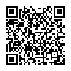 那位带蛇奴只是负责给主养蛇而得到了更大的力量二维码生成