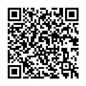 那位无敌哥死后被转移的剧情物品应该就在附近二维码生成