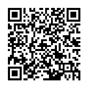 那位服务生已经行色匆匆地走过来低声对程守炀道二维码生成