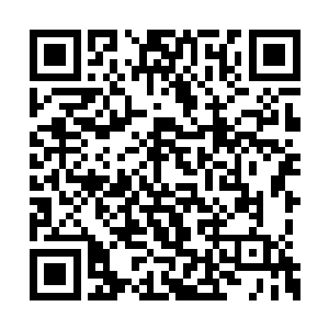 那位界主被突如其来的变故惊得话都说不完整了二维码生成