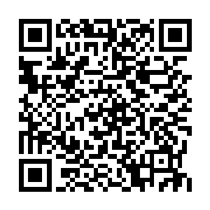 那位站在兰博基尼旁边的年轻人忽然冷笑了一声二维码生成