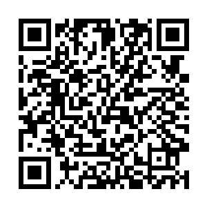 那位紫芸老祖前辈可未说想要夺取冠军需要什么修为二维码生成