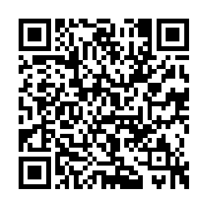 那位陆……陆前辈能在这些人的合围下屡次逃脱二维码生成