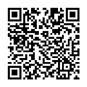那余下的一千多名仙帝以下的来犯之敌就交给你们了二维码生成